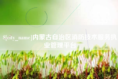 庆阳内蒙古自治区消防技术服务执业管理平台