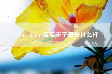 庆阳看看王子豪长什么样