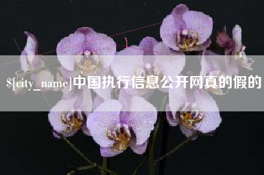 庆阳中国执行信息公开网真的假的