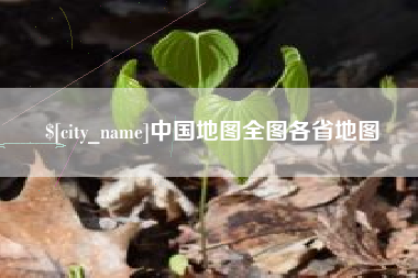 庆阳中国地图全图各省地图