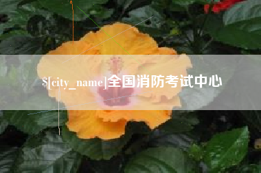 庆阳全国消防考试中心
