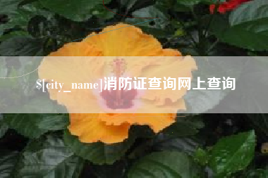 庆阳消防证查询网上查询