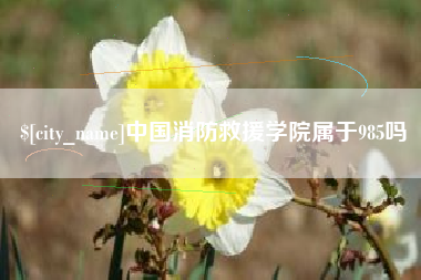 庆阳中国消防救援学院属于985吗