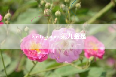 庆阳第九金是