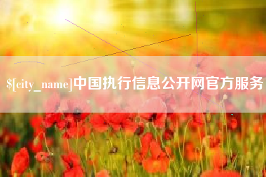 庆阳中国执行信息公开网官方服务