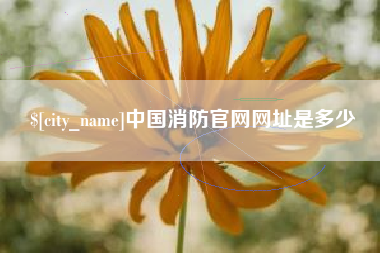 庆阳中国消防官网网址是多少
