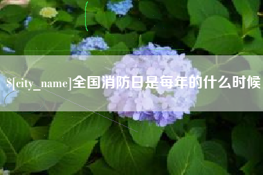 庆阳全国消防日是每年的什么时候