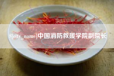 庆阳中国消防救援学院副院长
