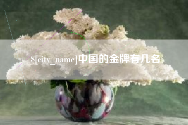 庆阳中国的金牌有几名