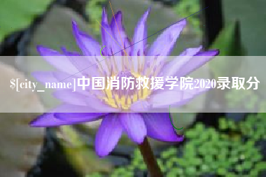 庆阳中国消防救援学院2020录取分