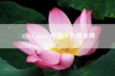 庆阳中国十九枚金牌