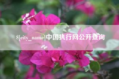 庆阳中国执行网公开查询