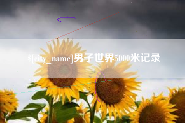 庆阳男子世界5000米记录