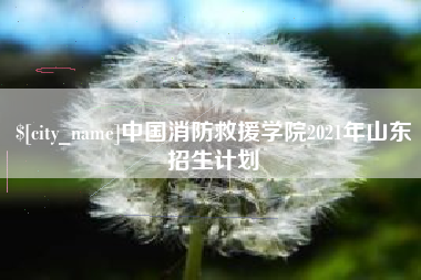 庆阳中国消防救援学院2021年山东招生计划