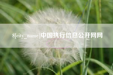 庆阳中国执行信息公开网网