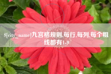 庆阳九宫格规则,每行,每列,每个粗线都有1-9