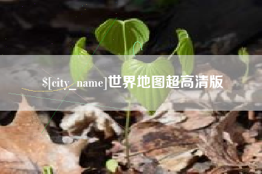 庆阳世界地图超高清版