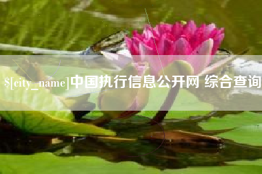 庆阳中国执行信息公开网 综合查询
