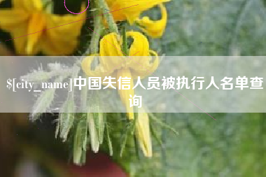庆阳中国失信人员被执行人名单查询