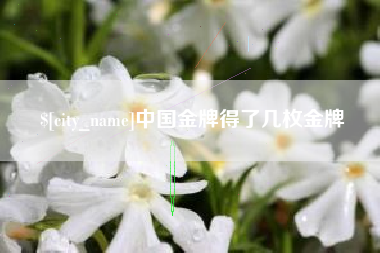 庆阳中国金牌得了几枚金牌