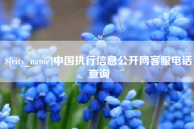 庆阳中国执行信息公开网客服电话查询