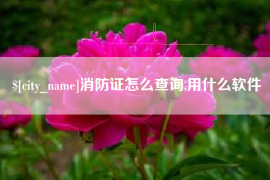 庆阳消防证怎么查询,用什么软件