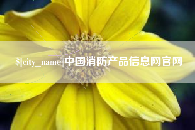 庆阳中国消防产品信息网官网