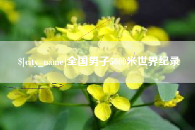 庆阳全国男子5000米世界纪录