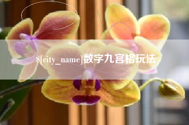 庆阳数字九宫格玩法