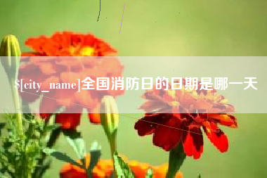 庆阳全国消防日的日期是哪一天