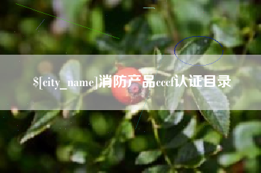庆阳消防产品cccf认证目录