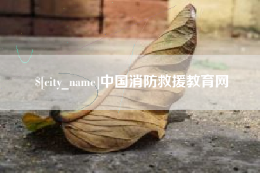 庆阳中国消防救援教育网