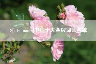 庆阳中国十大金牌律师名单