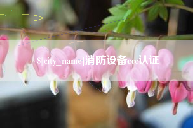 庆阳消防设备ccc认证