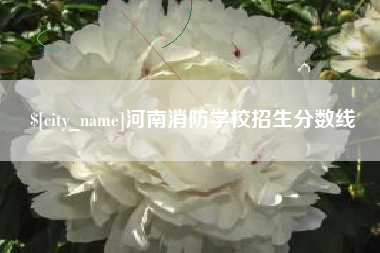 庆阳河南消防学校招生分数线