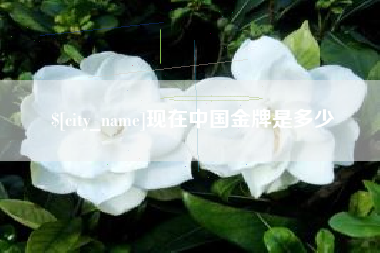 庆阳现在中国金牌是多少