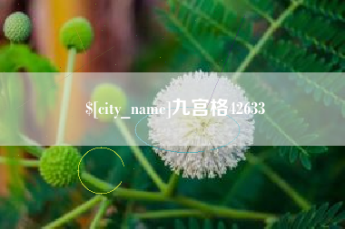 庆阳九宫格42633