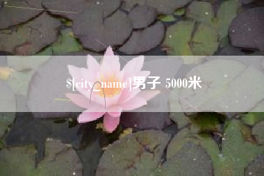 庆阳男子 5000米