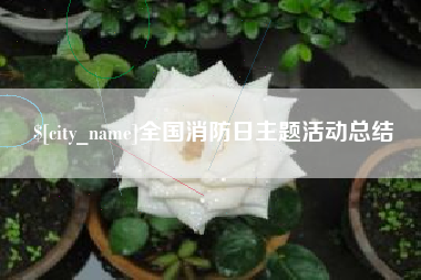 庆阳全国消防日主题活动总结