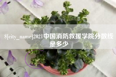 庆阳2021中国消防救援学院分数线是多少