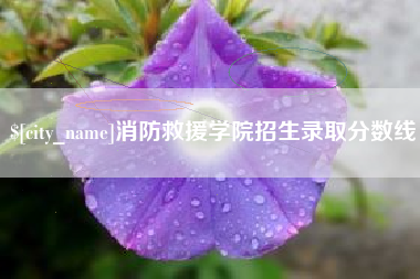 庆阳消防救援学院招生录取分数线