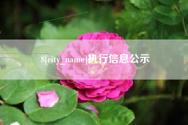 庆阳执行信息公示