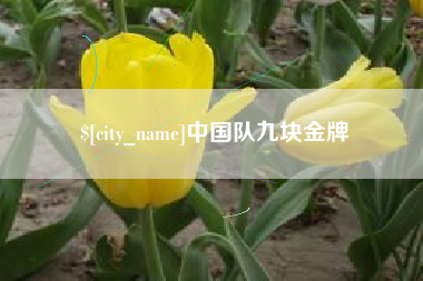 庆阳中国队九块金牌