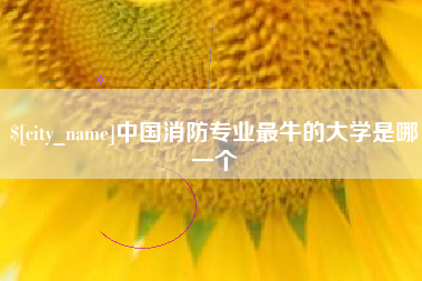 庆阳中国消防专业最牛的大学是哪一个