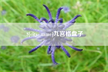 庆阳九宫格盘子