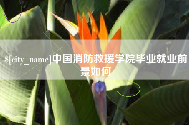 庆阳中国消防救援学院毕业就业前景如何