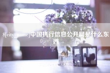 庆阳中国执行信息公开网是什么东西