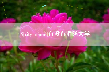 庆阳有没有消防大学