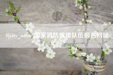 庆阳国家消防救援队伍报名网址