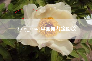 庆阳中国第九金回放